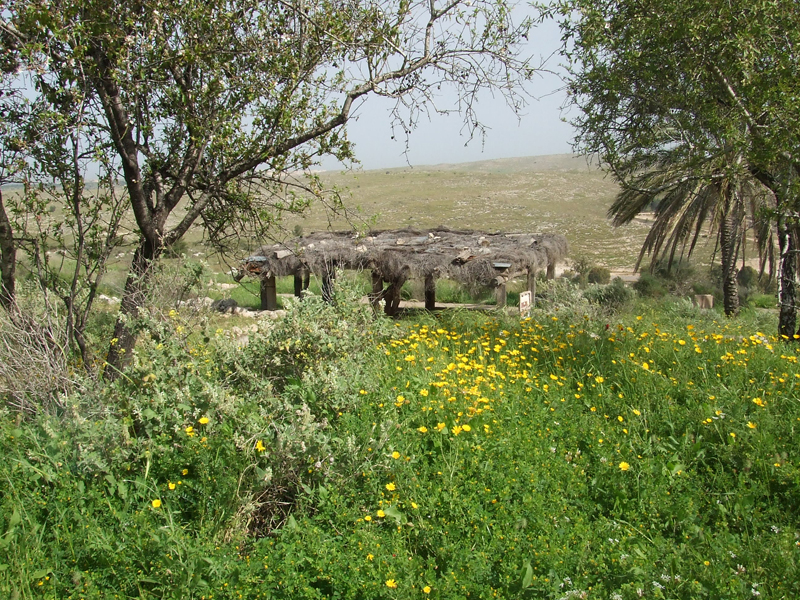 Landwirtschaft Israel